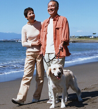 性生活的好處 老年人保持性生活能預(yù)防疾病