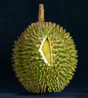 榴蓮的營(yíng)養(yǎng)價(jià)值 滋補(bǔ)又可緩?fù)唇?jīng)