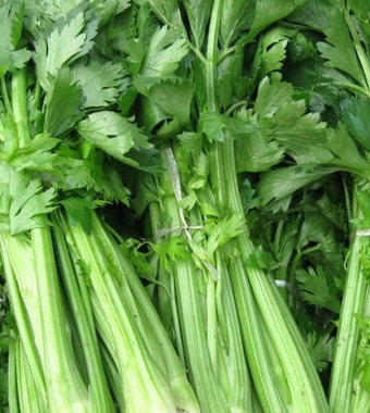 壯陽食物 讓男人更威猛的食物