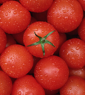 吃西紅柿的好處 西紅柿治病的十大功效