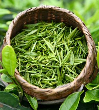 腎虛的癥狀有哪些 尿液判斷有良方