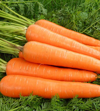 健康飲食 女人吃什么讓你不變老