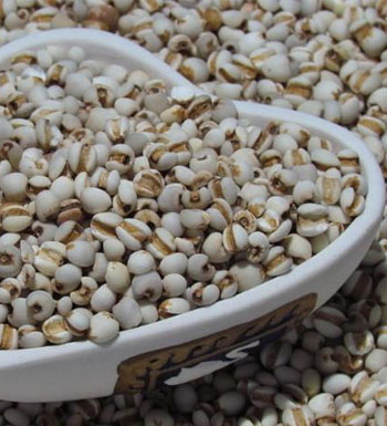 薏米的作用與功效及食用方法 薏米的營養(yǎng)價值