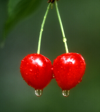 清腸排毒方法 養(yǎng)顏排毒又瘦身的7大清腸水果