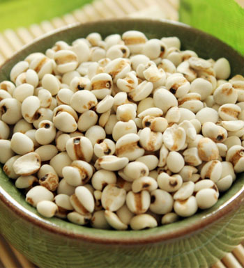 薏米的作用與功效及食用方法 薏米的營養(yǎng)價值