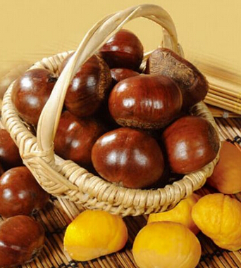 吃什么補(bǔ)腎虛 推薦補(bǔ)腎虛效果最好的食物