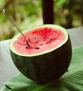 夏季溫熱如何養(yǎng)生 推薦10款食物清熱潤肺