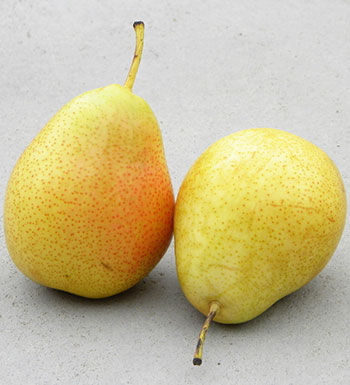 夏季溫熱如何養(yǎng)生 推薦10款食物清熱潤肺