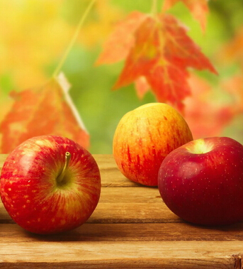 腎虛吃什么好 11食物讓你激情常在