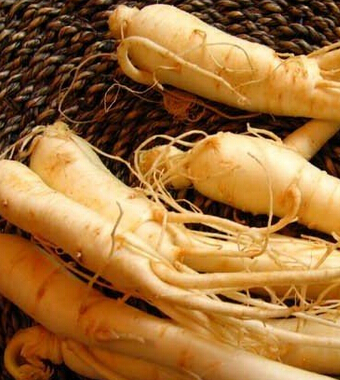 民間壯陽秘方 男人必備八款壯陽飲