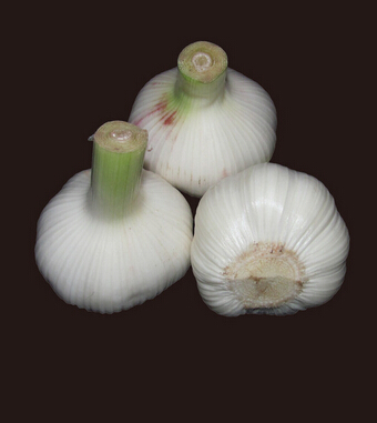 補(bǔ)腎壯陽的食物 8食物提高荷爾蒙讓你變猛男