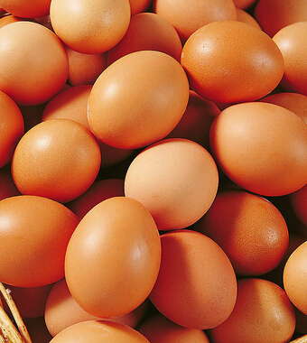 腎虛吃什么 為男人腎虛解憂的食物