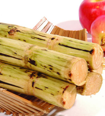 感冒吃什么好 感冒怎么辦 吃什么對感冒有好處