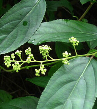 男性健康常識 需要注意的9種傷腎行為