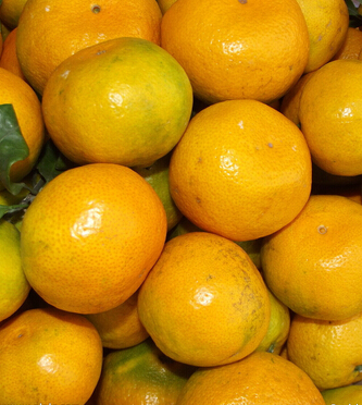 水果的營養(yǎng)價值 盤具有中醫(yī)療效的八大水果