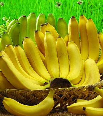 香蕉的功效與作用 吃香蕉能抵抗七種病