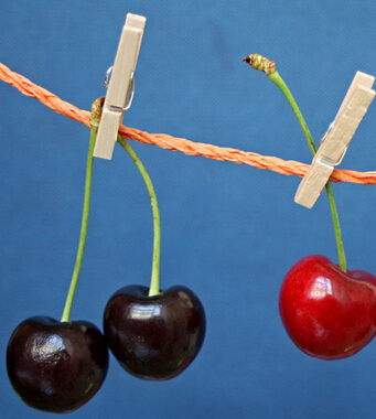 西瓜的功效與作用 西瓜解暑養(yǎng)顏有一手