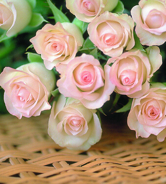 超級育兒師 每月胎教有重點