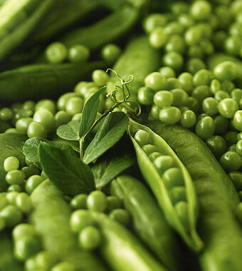 夫妻那些事 夫妻生活和諧有助于延年養(yǎng)顏