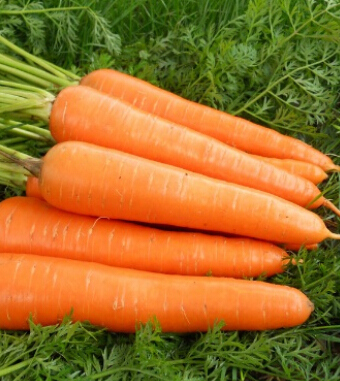 補(bǔ)腎壯陽的食物 8食物提高荷爾蒙讓你變猛男