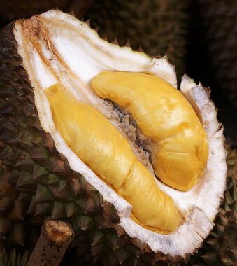 榴蓮的營(yíng)養(yǎng)價(jià)值 滋補(bǔ)又可緩?fù)唇?jīng)