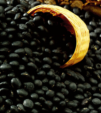 腎虛吃什么好 補腎的食物有哪些