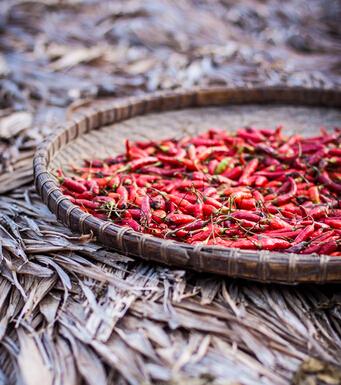 美麗的春天 老人養(yǎng)生千萬別做8件事