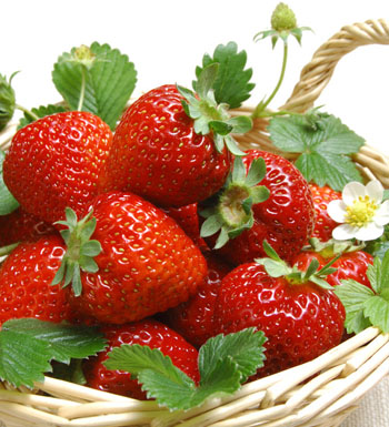 上班族犯困吃什么好 五大食物對(duì)抗上班族犯困