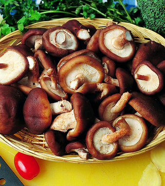 氣血不足怎么辦 10食物養(yǎng)好氣血做美麗女人