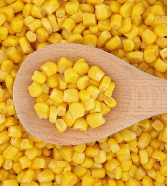 吃什么壯陽補(bǔ)腎 男性補(bǔ)腎壯陽食物傾力推薦