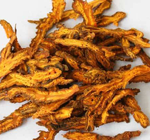 保護(hù)胃粘膜 黃蓮的作用功效及禁忌介紹