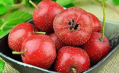 孕婦能吃山楂嗎以及吃山楂的危害是什么