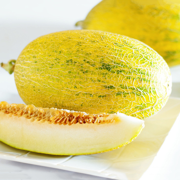 孕婦可以吃哈密瓜嗎 孕婦吃哈密瓜要注意什么