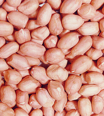 秋季養(yǎng)生小常識(shí) 秋季飲食養(yǎng)生10大忌要留意