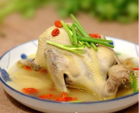 老少皆宜的補(bǔ)品 鴿子的營養(yǎng)價(jià)值