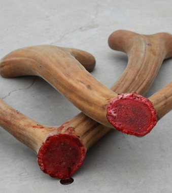 生活保健小常識(shí) 春藥和壯陽(yáng)藥區(qū)別在何處