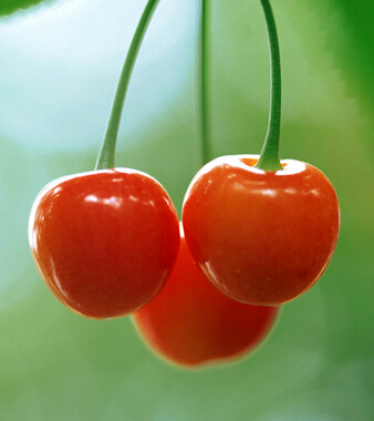 春天吃什么水果好 春吃6果止咳護(hù)膚