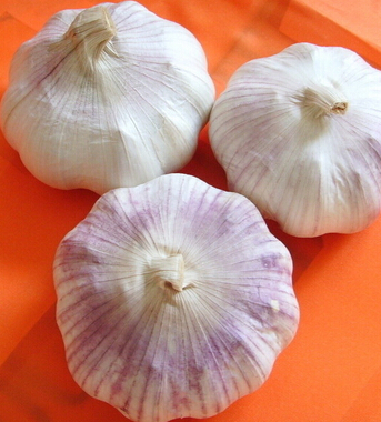 腎虛怎么辦 10種食物男人永遠(yuǎn)精力旺盛