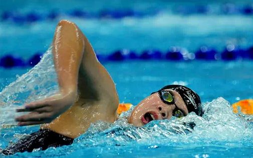 夏天來(lái)啦，關(guān)于自由泳的動(dòng)作要領(lǐng)