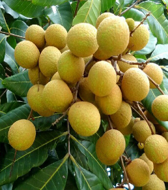 失眠怎么辦 七種食物助你一夜好眠