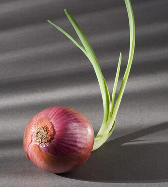 皮膚干燥怎么辦 健康從 五戒 吃起告別干燥