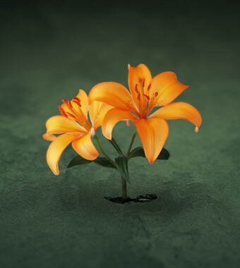 補(bǔ)腎的食物有哪些 薦10種超給力護(hù)腎食物