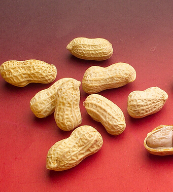 飲食與健康 9種人吃花生小心會喪命