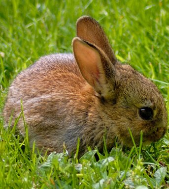 生財有道 風水學來教大家悶聲發(fā)大財