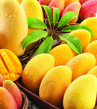 芒果不能和什么一起吃 芒果的禁忌要牢記