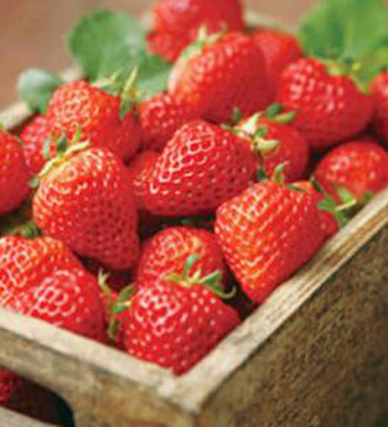 草莓的營(yíng)養(yǎng)價(jià)值和作用有哪些 草莓八作用