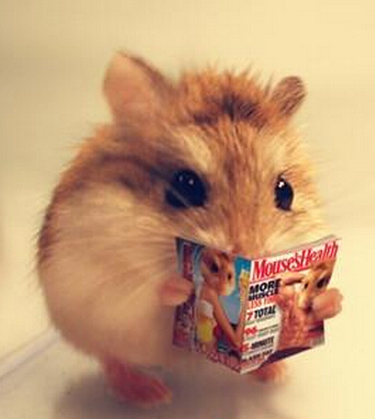 生財有道 風水學來教大家悶聲發(fā)大財