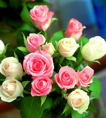 風(fēng)水知識 不可錯過的12種旺財旺運跡象