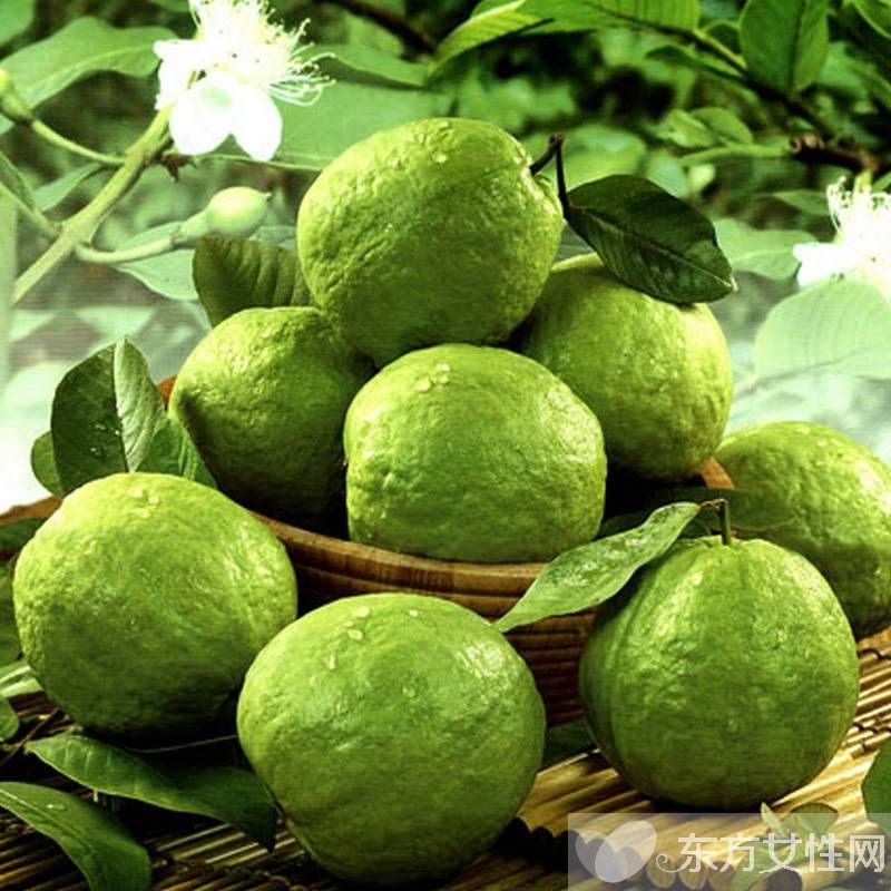 番石榴的營養(yǎng)價值介紹 番石榴籽吃了會便秘嗎