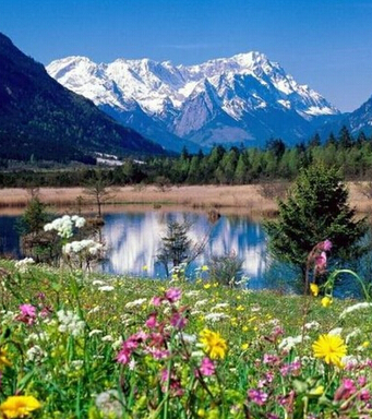 風(fēng)水知識(shí) 風(fēng)水學(xué)的三大原則